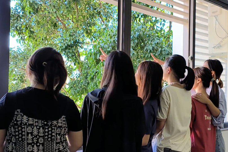 2024香港资料库