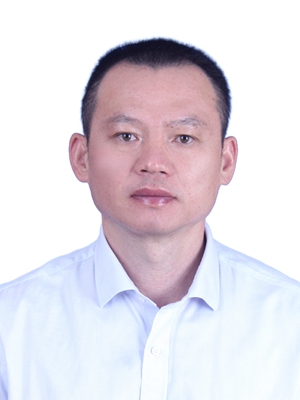 2024香港资料库