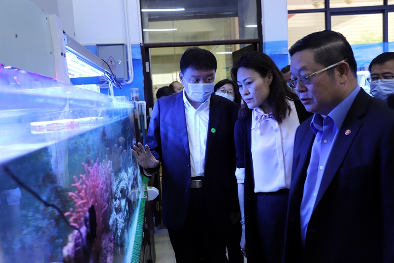 2024香港资料库