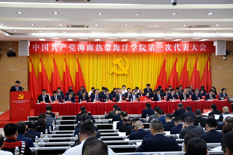 2024香港资料库