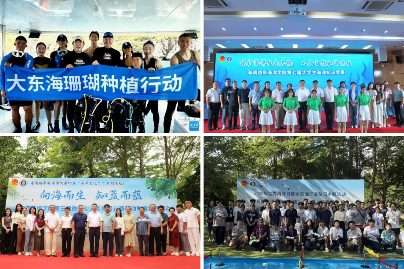 2024香港资料库
