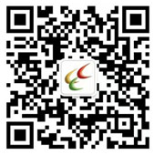 2024香港资料库